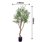 Kunst Olijfboom 150cm (lichte stam)