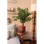 Ficus Kunstboom 90cm
