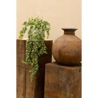 Eucalyptus Kunst Hangplant 60cm