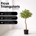 Kunstplant Ficus Groen 150cm - Real Touch