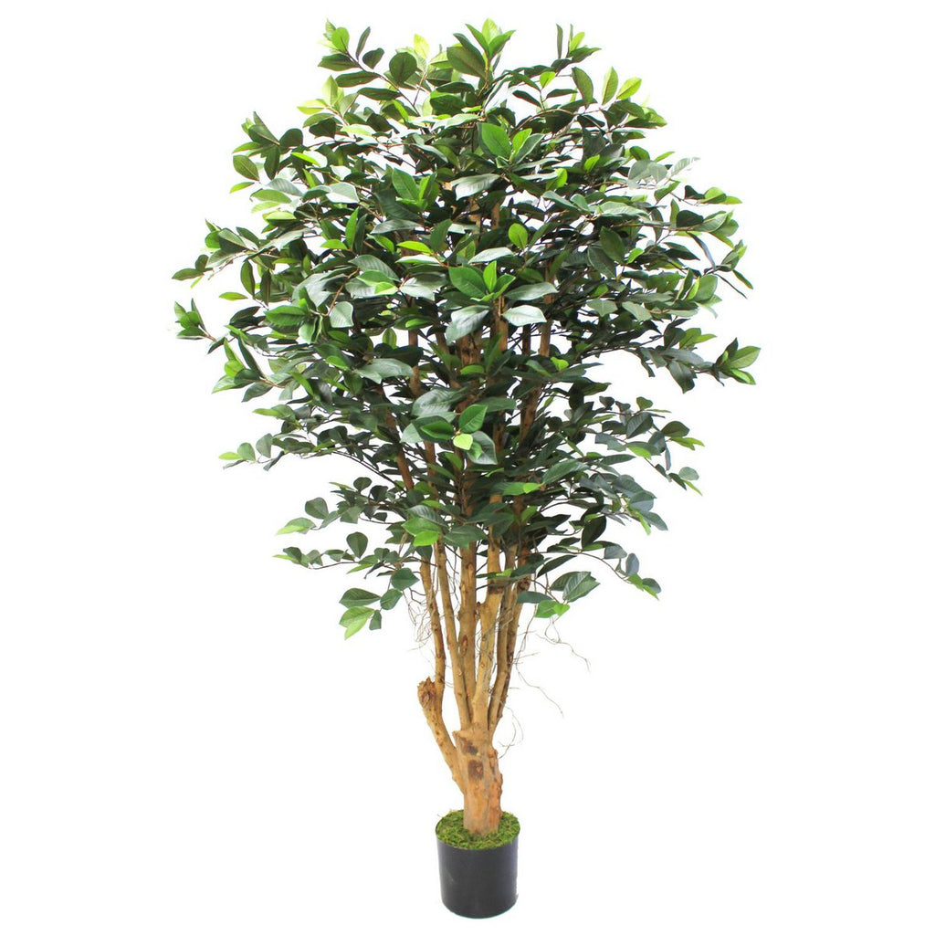 Ficus Kunstplant 180cm