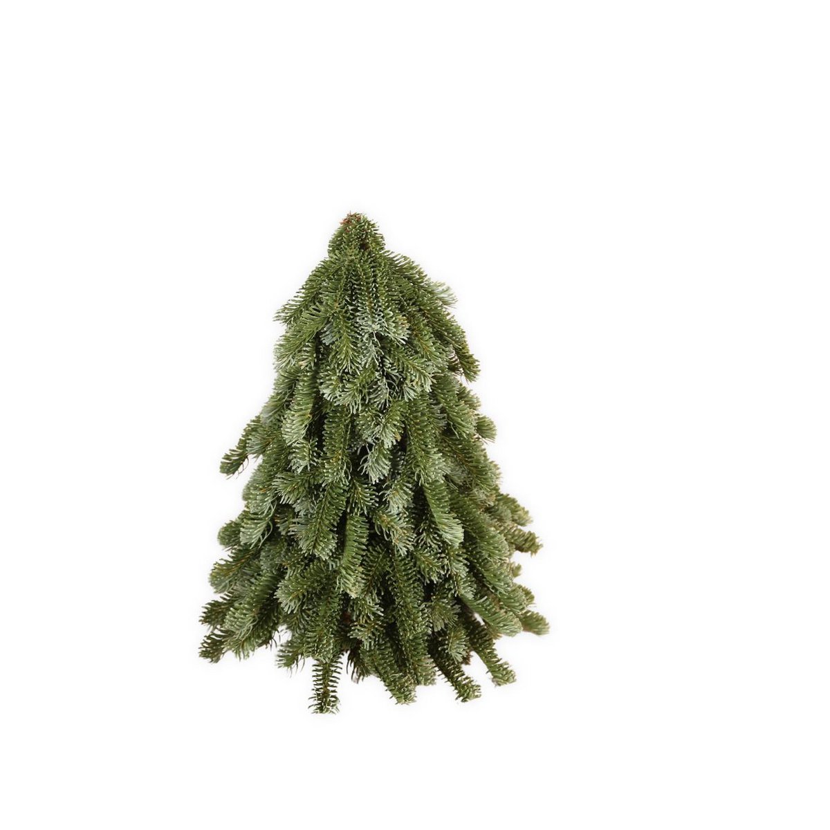 Kunstboom Nobilis groen 50cm