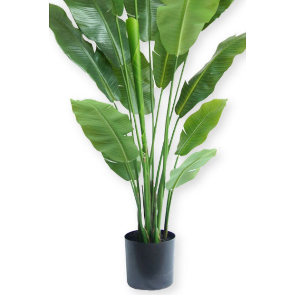 Kunstplant Strelitzia 180cm