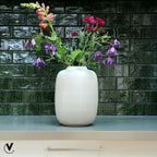 Vaas Artic Ivory