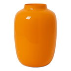 Vaas - Artic dark orange