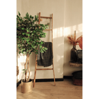 Kunst Ficus 150cm