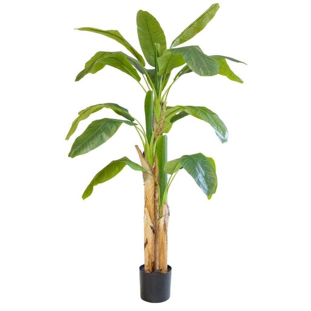 Kunst Bananenplant 180cm