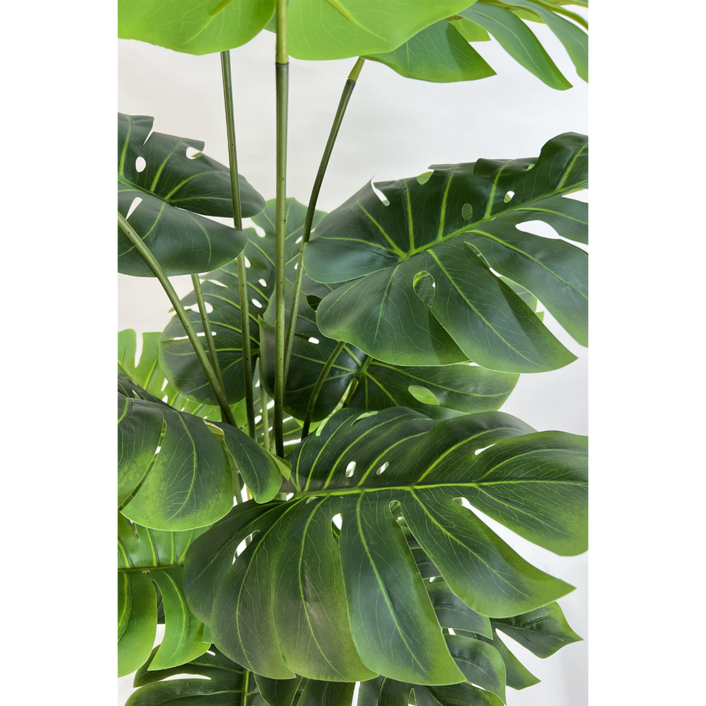 Monstera Kunstplant 165cm