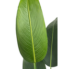 Strelitzia Kunstplant Met Bloem 180cm