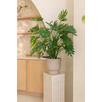 Kunstplant Philodendron 100cm