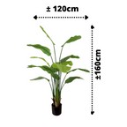 Strelitzia Kunstplant 160cm