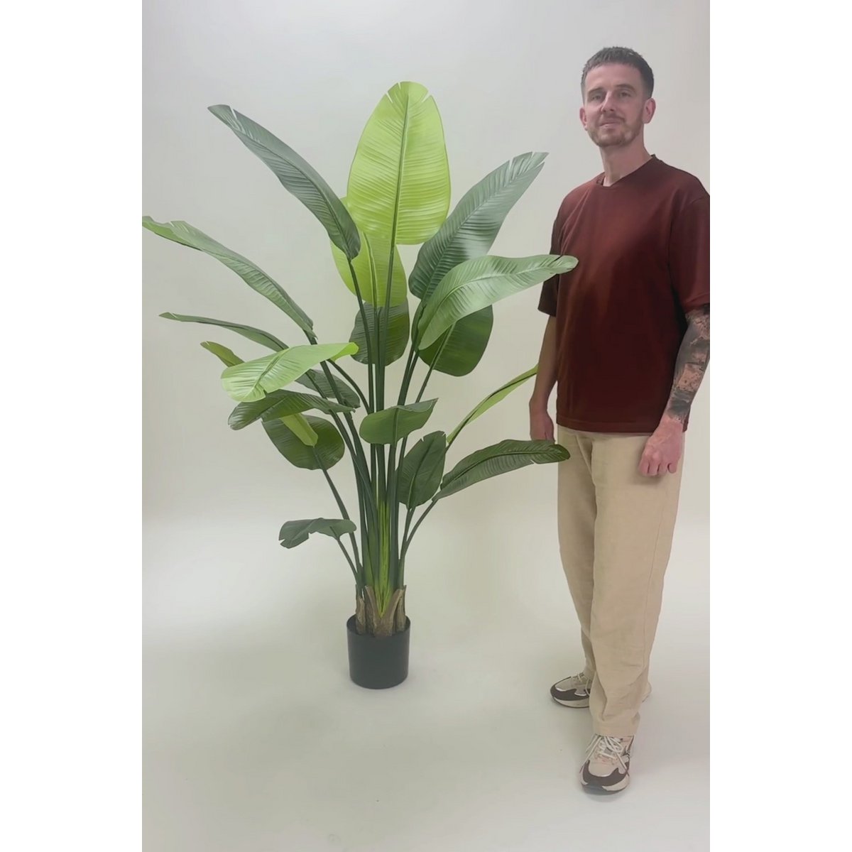 Strelitzia Kunstplant 180cm