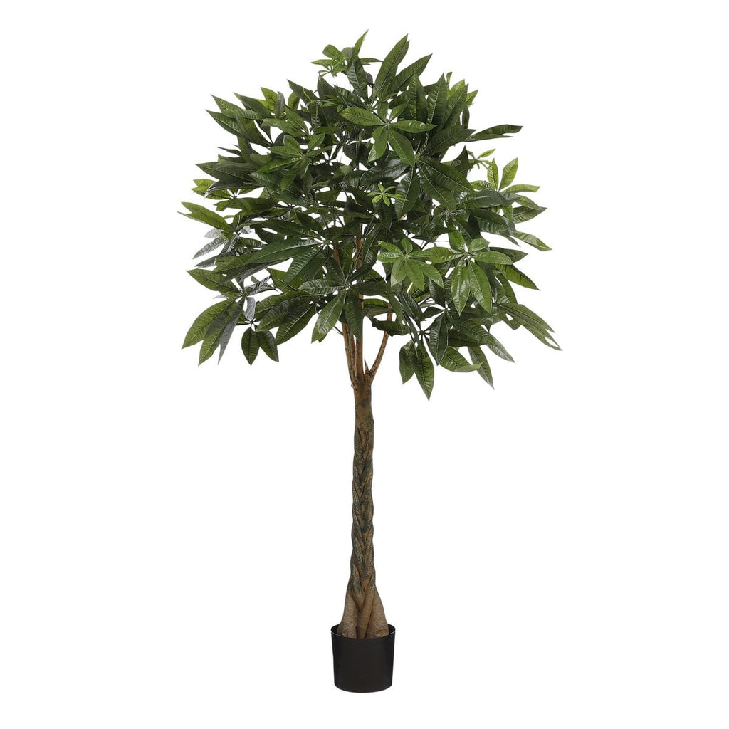 Kunstplant Pachira Groen 120cm - Real Touch