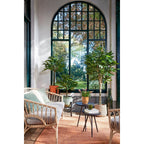 Kunstplant Pachira Real Touch 150cm