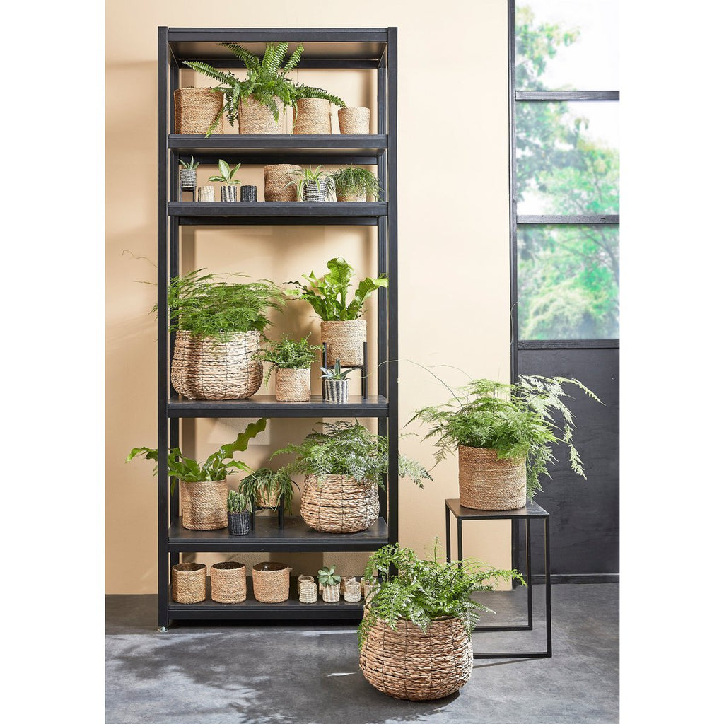 SET - Plantenmanden Avalon Lichtbruin