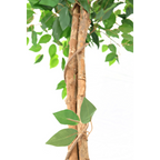 Kunst Ficus 150cm
