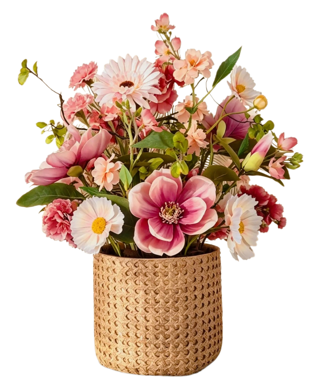 Magnolia Blush