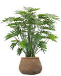 Vasenzo Faux Puff Set - Philodendron