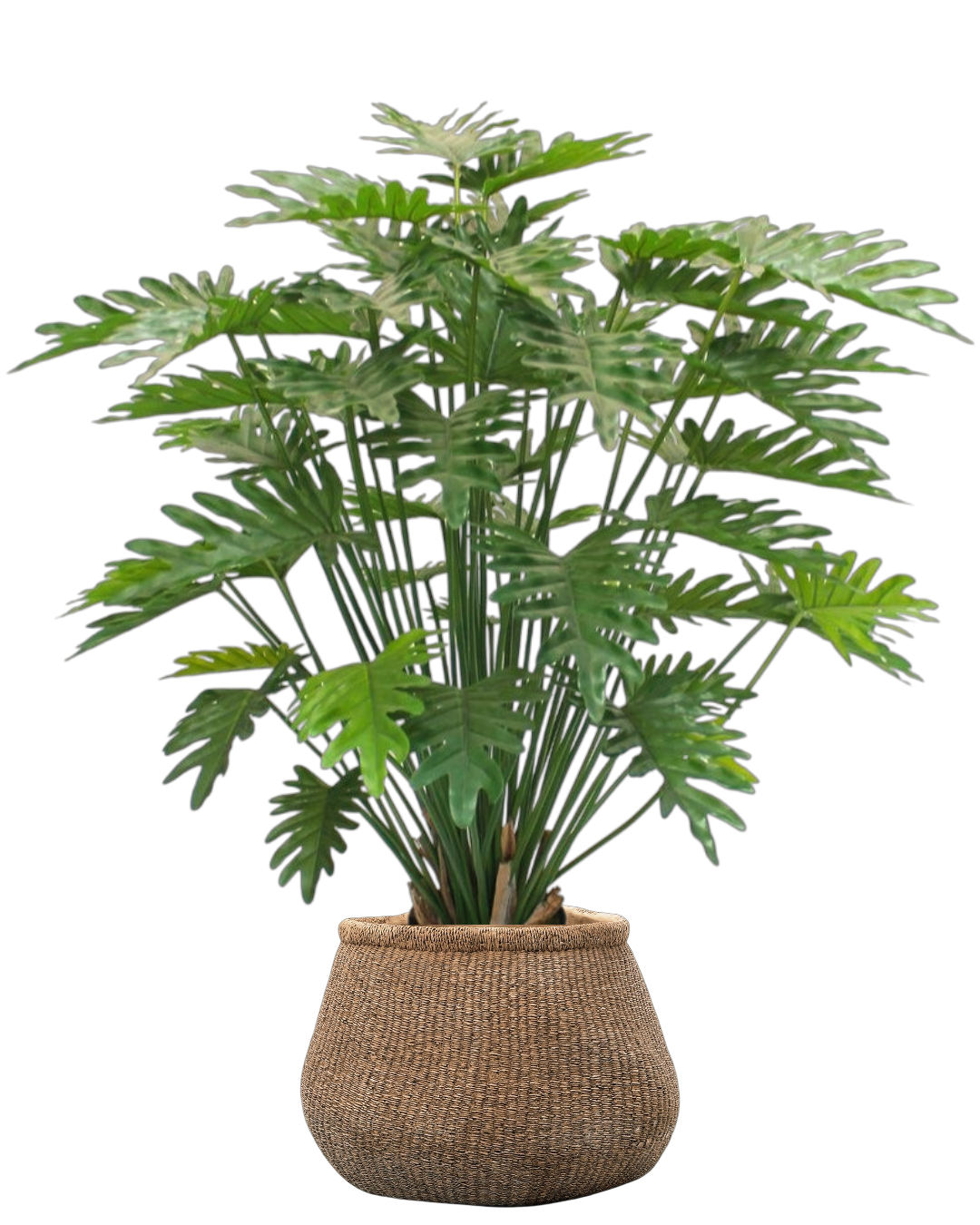 Vasenzo Faux Puff Set - Philodendron