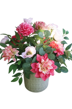 Pink Bloom Blush