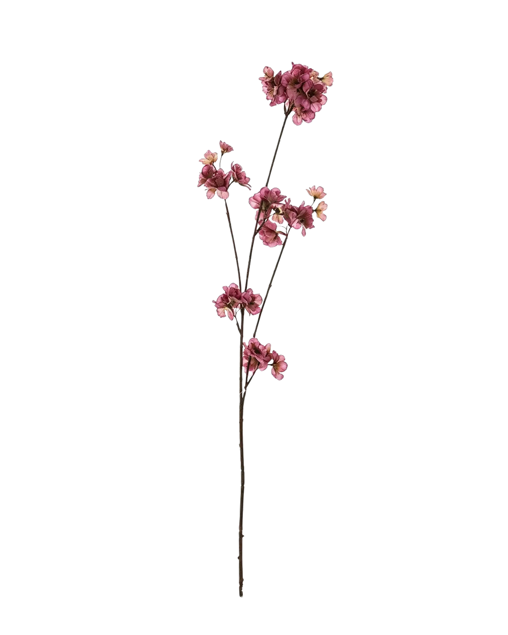 Zijden Prunus Tak - Burgundy