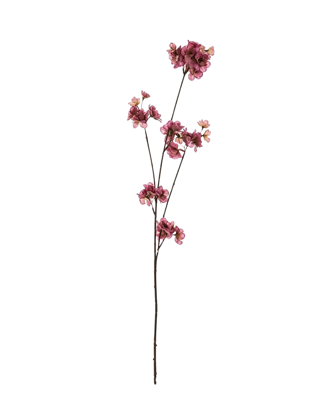 Zijden Prunus Tak - Burgundy