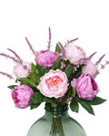 Peony Dream