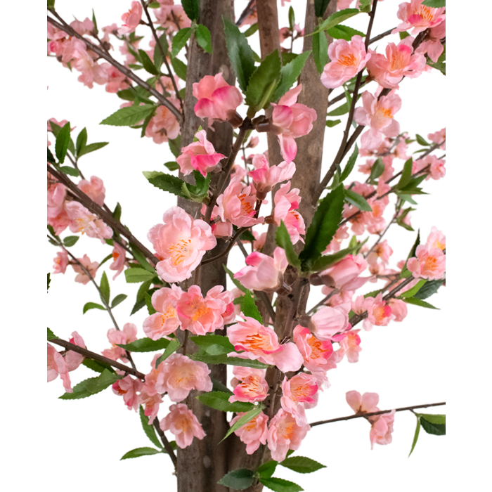 Roze Kersenbloesem in gouden Keramieken Pot