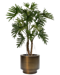 Vasenzo Philodendron met messing pot