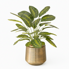 Calathea Kunstplant 70cm